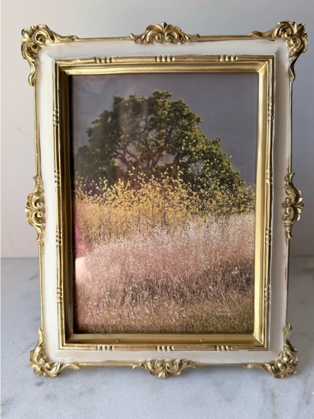 Vintage-Style Gold and Cream Ornate Photo Frame - Home Accents